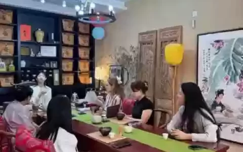 茶艺师阵容