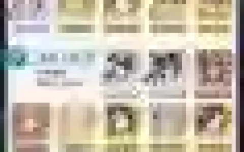 三国志幻想群雄阵容搭配