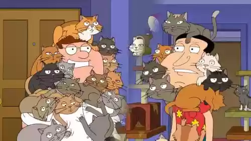 网吧猫阵容_1插图1 网吧猫阵容_1插图1