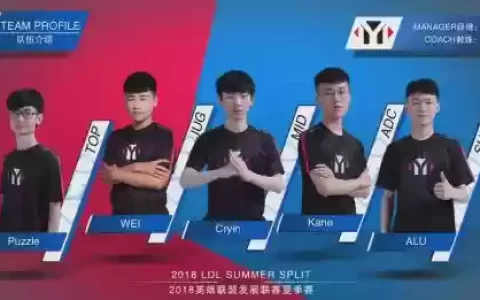 YM当年阵容