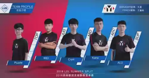 YM当年阵容插图 YM当年阵容插图