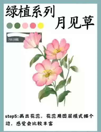 月见草梦幻西游插图1 月见草梦幻西游插图1