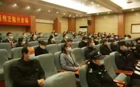 打官司阵容_1