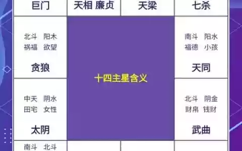 主星轮阵容