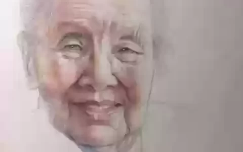 冰心灯阵容_1