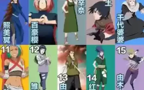 雏田阵容_1