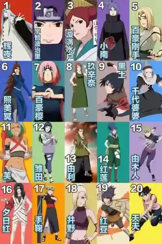 雏田阵容_1插图 雏田阵容_1插图