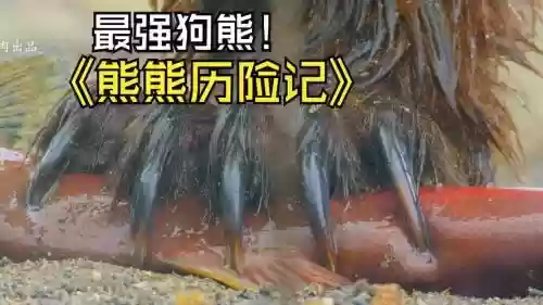 萌熊历险记攻略第八关插图
