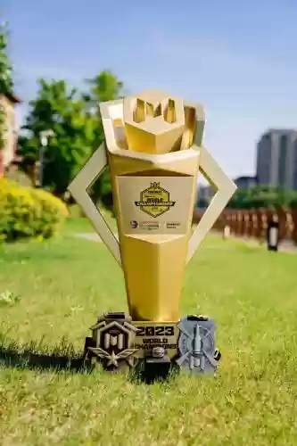 使命召唤4奖杯攻略插图 使命召唤4奖杯攻略插图