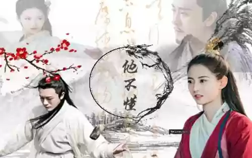 赵敏杨逍阵容插图1 赵敏杨逍阵容插图1