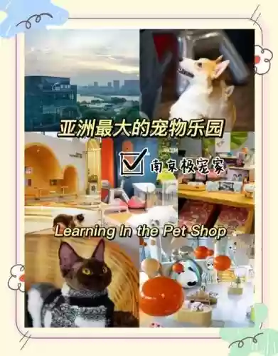 catbird攻略第14关插图1