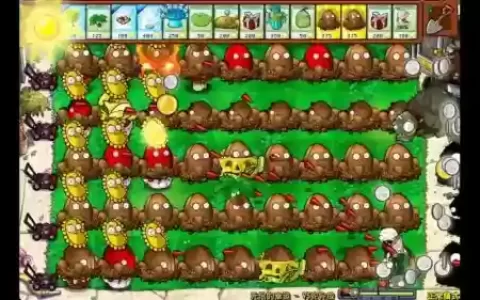 pvz无脑阵容