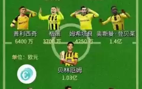 多特蒙德16阵容_1
