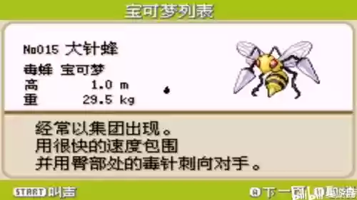 大针蜂自学技能_1插图
