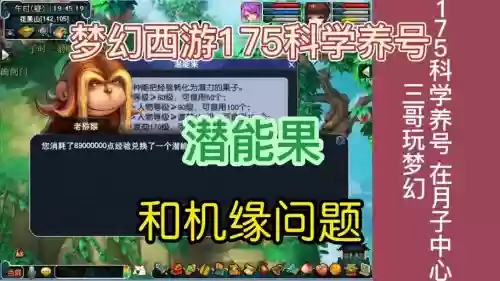 梦幻西游普陀潜力果加点插图1