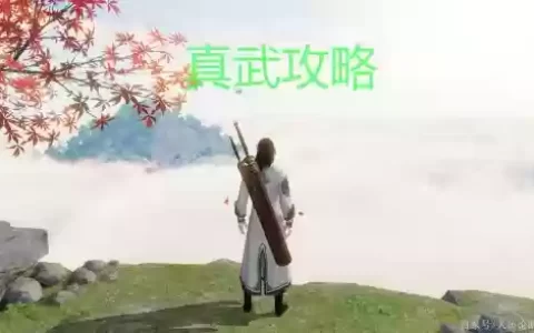 天涯明月刀怎么获得真武武器凶年