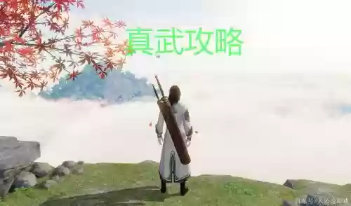 天涯明月刀怎么获得真武武器凶年插图
