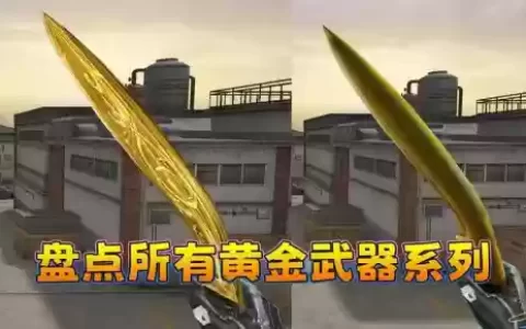 金武器谁的好