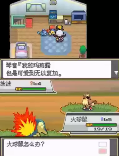 口袋妖怪魄银攻略_2插图 口袋妖怪魄银攻略_2插图