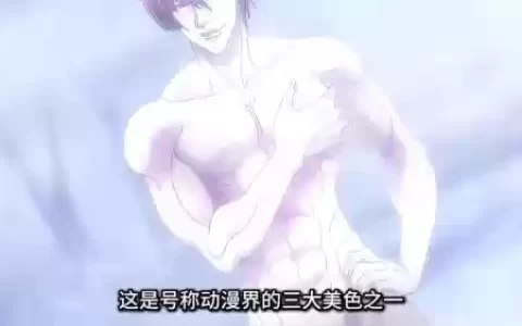 漫画全职猎人西索技能