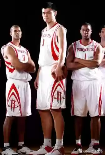 埃尔文海耶斯搭配阵容插图1