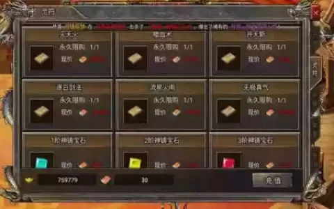 热血传奇技能小说