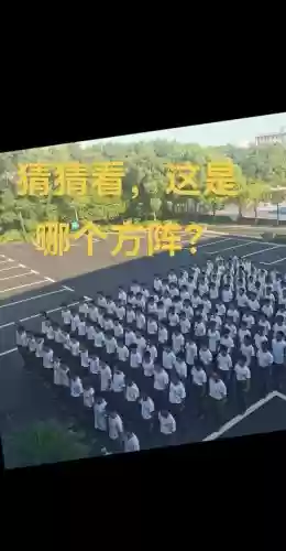 摆出整齐阵容插图