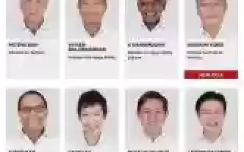 新加坡内阁阵容