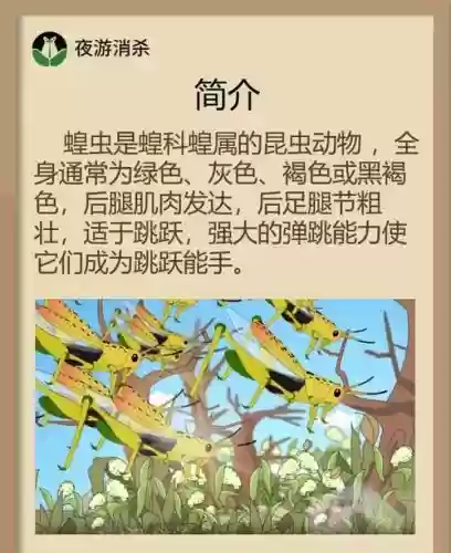 新版蚂蚱技能连招_1插图 新版蚂蚱技能连招_1插图