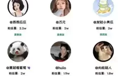 小红书阵容