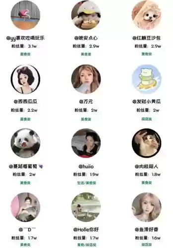 小红书阵容插图