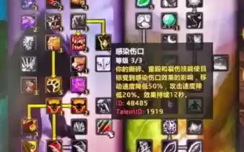 3.13熊t仇恨技能_1