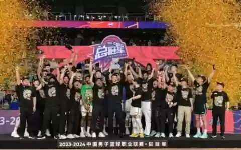 辽宁阵容夺冠