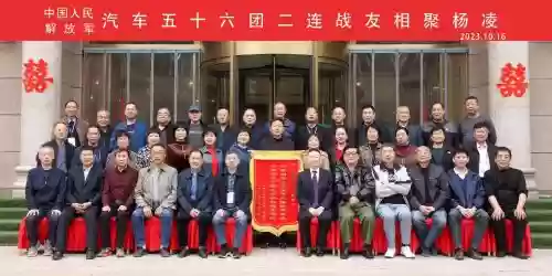 56团阵容_1插图