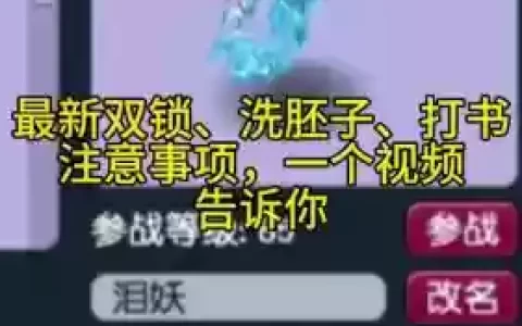 梦幻西游bb锁怎么解除_1