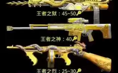 cf的所以的王者武器