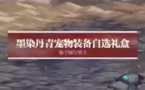 年套宠物装备选哪个