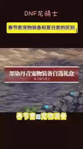 年套宠物装备选哪个插图 年套宠物装备选哪个插图