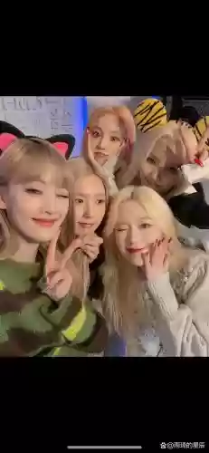 dl今年阵容插图1