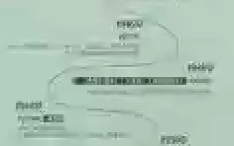 初年传作者攻略