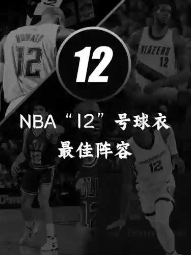 12号阵容插图1
