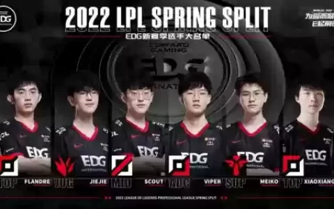 edg目前阵容