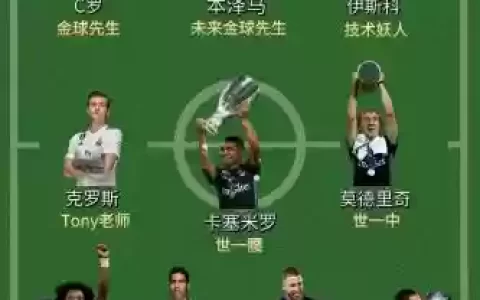 2017赛季阵容