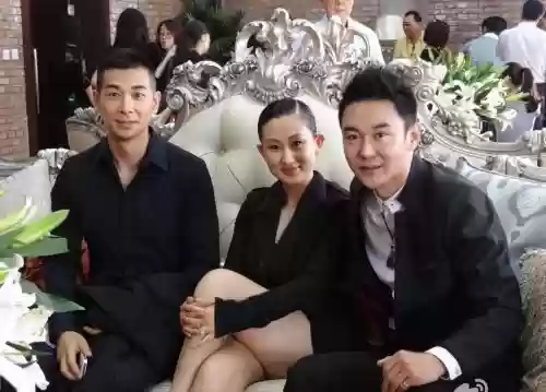 赵文卓主持阵容_1插图