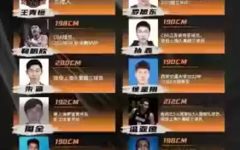 剑齿虎阵容搭配