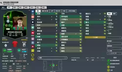 fm阵容挑选插图1