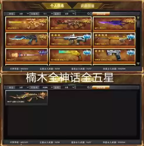 火线五星武器怎么得插图