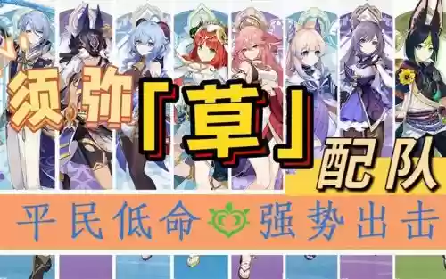 须弥阵容搭配推荐插图1 须弥阵容搭配推荐插图1