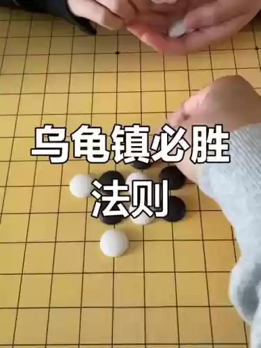最强乌龟阵容插图1