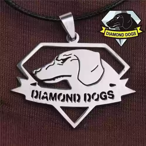 合金装备5钻石狗找不到_1插图 合金装备5钻石狗找不到_1插图